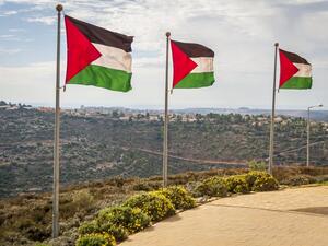 A row of Palestine flags  (Shutterstock)	
