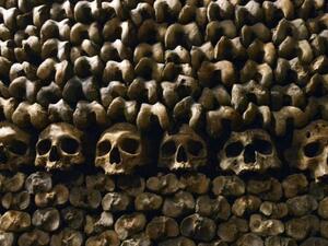 The skulls in the Catacombs of Paris. (AFP)