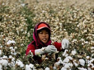 This handout courtesy of Medi Bastoni taken and released on August 5, 2019 shows Bastoni as he takes a selfie during a quick stop in Kendal, during his ongoing campaign to draw attention to the issue of deforestation in Indonesia. (AFP)