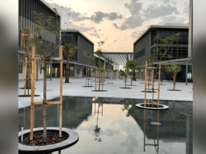 American University of Bahrain 
