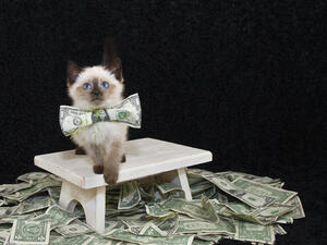 (Shutterstock/ File Photo)