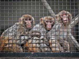 (Shutterstock/ File Photo)