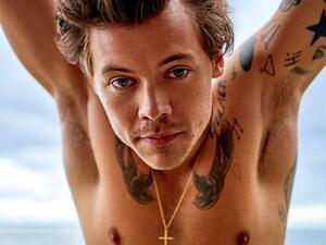 Harry Styles (Twitter)