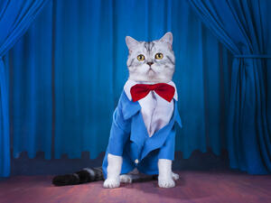 (Shutterstock/ File Photo)