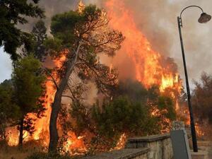 Lebanon’s forest fires (Twitter)