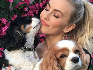 Julianne Hough says her two dogs died