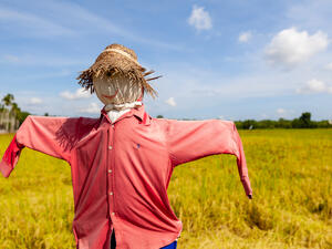 (Shutterstock/ File Photo)