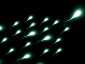 عزيزي الرجل أحذر هذه الأطعمة التي تقتل الحيوانات المنوية