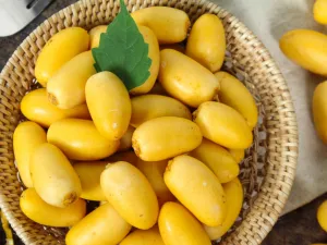 يحتوي البلح على الكالسيوم وهو المعدن الأهم للعظام حيث يقي من هشاشة العظام