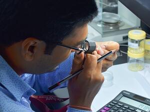 DDE hosts one of the largest ever rough diamond tenders in the UAE