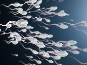 (Shutterstock)	