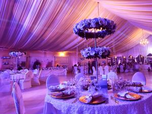 الاهتمام المبالغ به بالكوشة الاهتمام المبالغ به بالكوشة