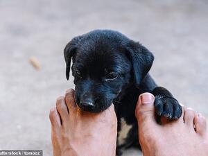 (Shutterstock/ File Photo)