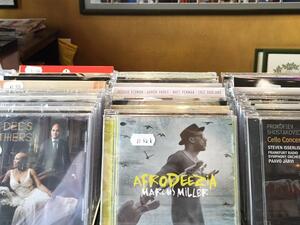 Lale Plak in Istanbul (Twitter)