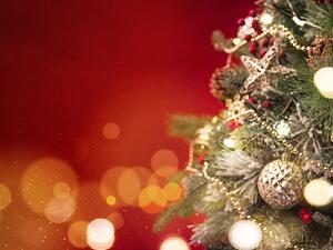 Make merry with the whole family this winter season 