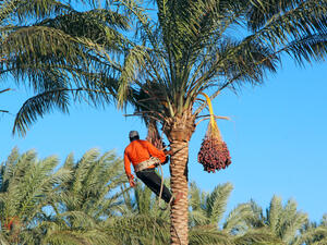 (Shutterstock/ File Photo)