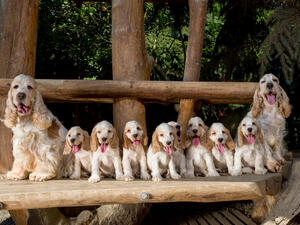 (Shutterstock/ File Photo)