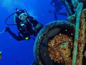 Although the sea is unpredictable and sometimes dangerous, Yasminah Basha likes to ‘be adventurous while taking safety precautions, and to be close to predator fish without provoking them.’ (Supplied)