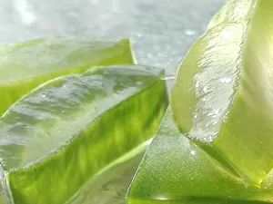 فوائد شرب عصير الصبار أول شيء في الصباح