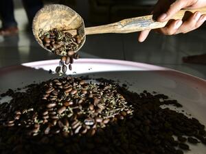 This photo taken on December 10, 2019 shows coffee beans with marijuana in Banda Aceh, Aceh province. The contraband mixture of cannabis and coffee is a hit with locals and buyers in other parts of the Southeast Asian archipelago, who pay 1.0 million rupiah (75 USD) for a kilo of it. CHAIDEER MAHYUDDIN / AFP