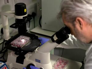Doctor Paul McKay, who is working on an vaccine for the 2019-nCoV strain of the novel coronavirus, Covid-19,, poses for a photograph using a microscope to look at bacteria containing coronavirus, Covid-19, DNA fragments, in a research lab at Imperial College School of Medicine (ICSM) in London on February 10, 2020. A team of UK scientists believe they are one of the first to start animal testing of a vaccine for the new coronavirus that has killed more than 1,000 people and spread around the world. Tolga AK
