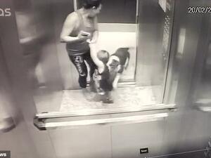 The bulldog is seen rushing towards the little boy as the nanny tries to pull him away. (FocusOnNews)