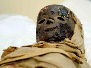 Egyptian child mummies  (Twitter)