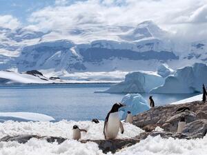 Antarctic Peninsula (Twitter)