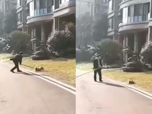 A community officer in Nanchong, China, has been caught on camera brutally killing a stray dog with a wooden club. The horrifying incident took place this morning, insiders revealed. (Video Screenshot)