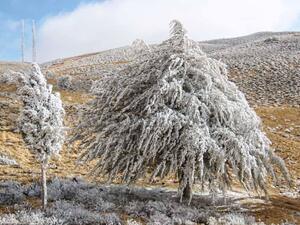 انخفاض قياسي في درجات الحرارة بمنطقة الشرق الأوسط