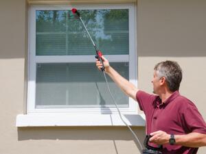 التخلّص من الحشرات عن طريق خليط من بيكربونات الصوديوم والسكّر التخلّص من الحشرات عن طريق خليط من بيكربونات الصوديوم والسكّر