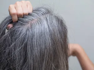 يعتبر الكاري من أهم الأعشاب التي يستعان بها لاسيما في البلدان الآسيوية من أجل المحافظة على شعر لامع