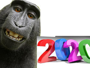 2020 والقرد
