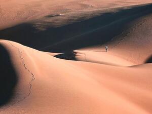 Rig-e Jenn (Twitter)