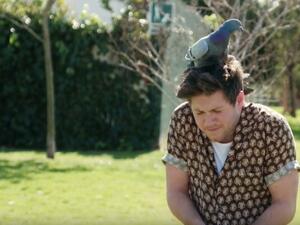  Niall Horan (Twitter)