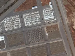 Mass graves in Qom (Twitter)