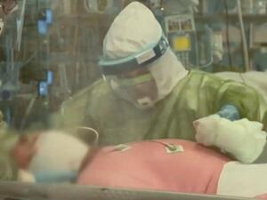 Images have emerged of coronavirus patients in intensive care in the Cremona Hospital in northern Italy – they are kept laying face down because it may improve the function of a ventilator, which helps failing lungs to work, by reducing the pressure on the lungs (Twitter)