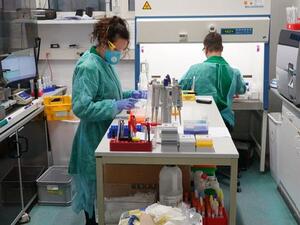 Germany has more than 63,000 confirmed cases of COVID-19 (Twitter)