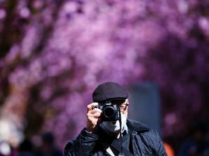 A man with a protection mask takes pictures of blooming cherry trees at the Heerstrasse street in Bonn, western Germany on April 5, 2020 amid the spread of the novel coronavirus COVID-19. The cherry blossom street in Bonn became famous after photographers started posting pictures of it on the web in the 1980s. Ina FASSBENDER / AFP