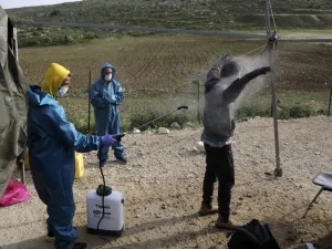 An employee at the Palestinian ministry of health sprays disinfectant on a worker returning from Israel through the Tarqumiah crossing, north-west of the West Bank city Hebron, on April 6, 2020, to stem the spread of the COVID-19 pandemic. HAZEM BADER / AFP