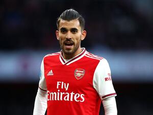 داني سيبايوس