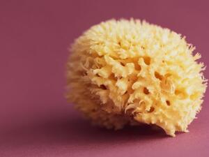 Manzamine A (Twitter)