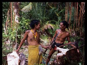 Audun Amundsen: Utopian Fruits of the Jungle (Twitter)