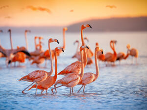 (Shutterstock/ File Photo)