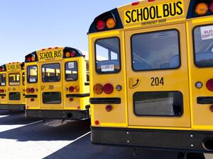 (Shutterstock/ File Photo)