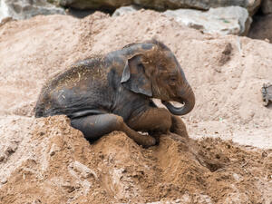 (Shutterstock/ File Photo)