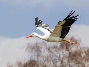 (Shutterstock/ File Photo)