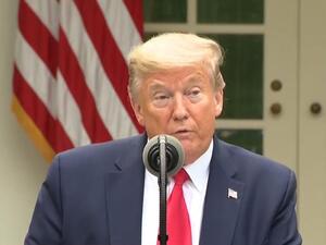الرئيس الأمريكي دونالد ترامب