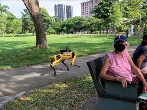 Robotic dog's (Twitter)