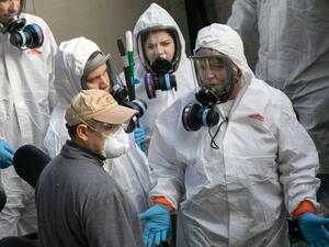 مصطلح مناعة القطيع مأخوذ من علم الأوبئة البيطرية